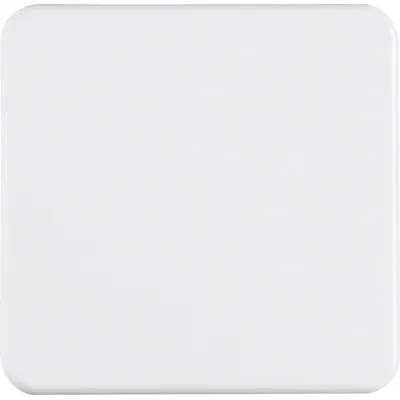 Berker Wippe 155009 | UP IP44 | Schalterabdeckung 1-fach | Kunststoff glänzend polarweiß | für Wippschalter/Taster