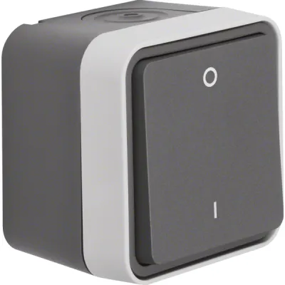 Berker Ausschalter 2-polig 30723505 W.1 | Wippschalter Aufputz IP55 | Steckklemme | Kunststoff grau matt