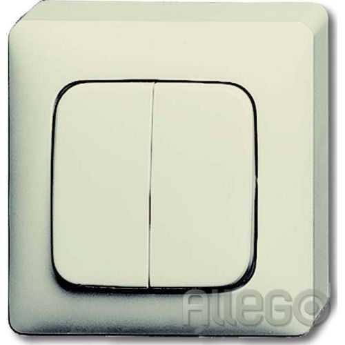 Bild: Wippschalter Serien Busch-Duro 2000 AP, 250V