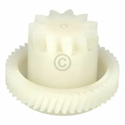 Zahnrad 10000194