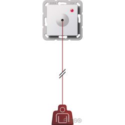 Zugtaster Funk System55, cws