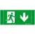 Bild: Zumtobel Rettungszeichen ERGOSIGN C RZ-1U | Piktogramm Notausgang Pfeil unten | 201x87x16mm | opal | 1-seitig