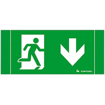 Zumtobel Rettungszeichen ERGOSIGN C RZ-1U | Piktogramm Notausgang Pfeil unten | 201x87x16mm | opal | 1-seitig